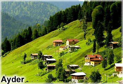 ayder_1