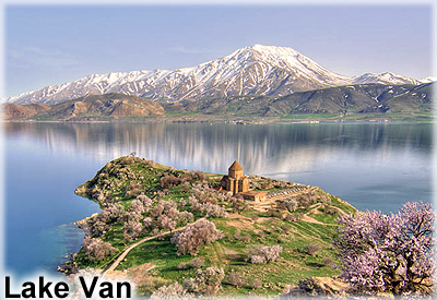van_1