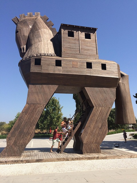troy 1